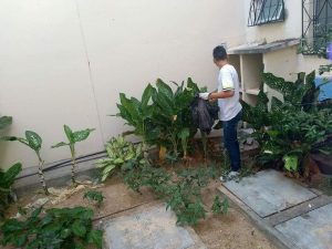WhatsApp Image 2018 03 12 at 11.21.58 - Prefeitura de Horizonte
