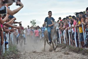 Corrida dos Jumentos 126 - Prefeitura de Horizonte