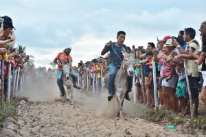 Corrida dos Jumentos 138 - Prefeitura de Horizonte