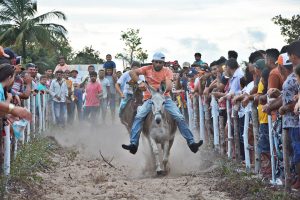 Corrida dos Jumentos 142 - Prefeitura de Horizonte
