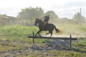 Corrida dos Jumentos 29 - Prefeitura de Horizonte